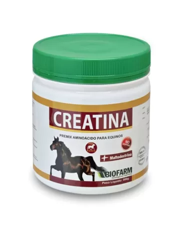 CREATINA 500GR