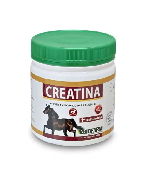 CREATINA 500GR